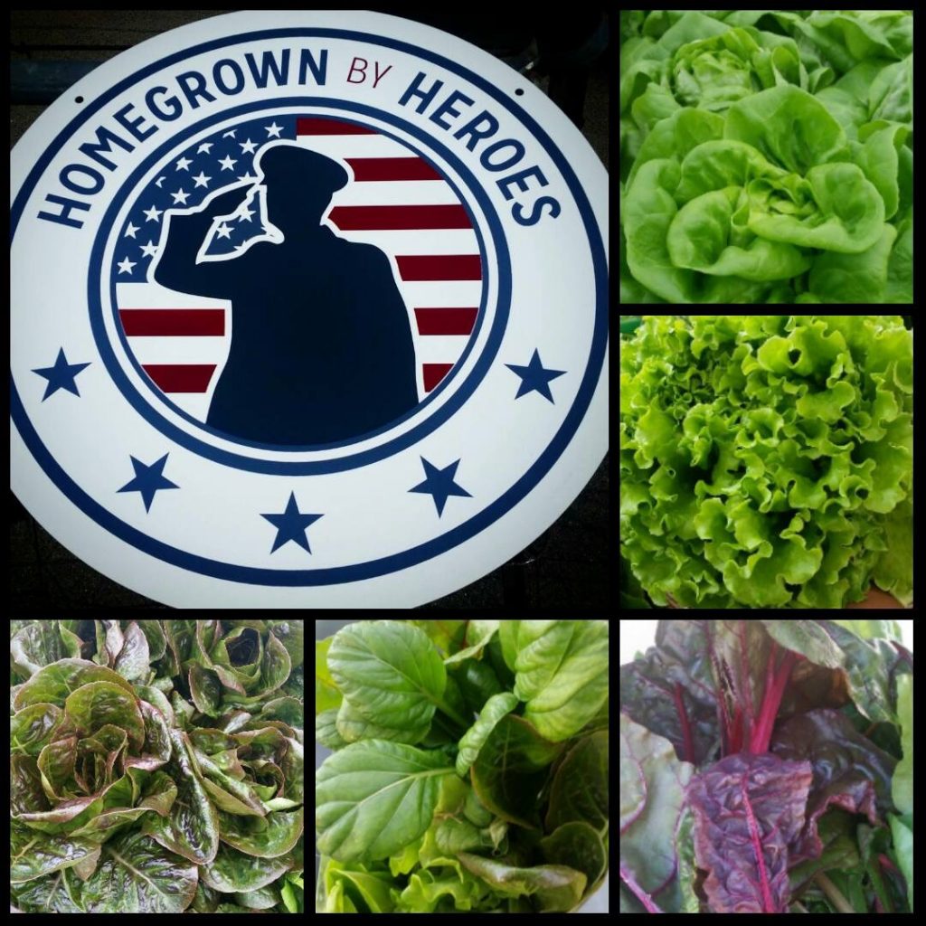 Some of the produce grown by US Navy veteran Endeavour Shen and crew on Sundial Farms in San Diego, CA.