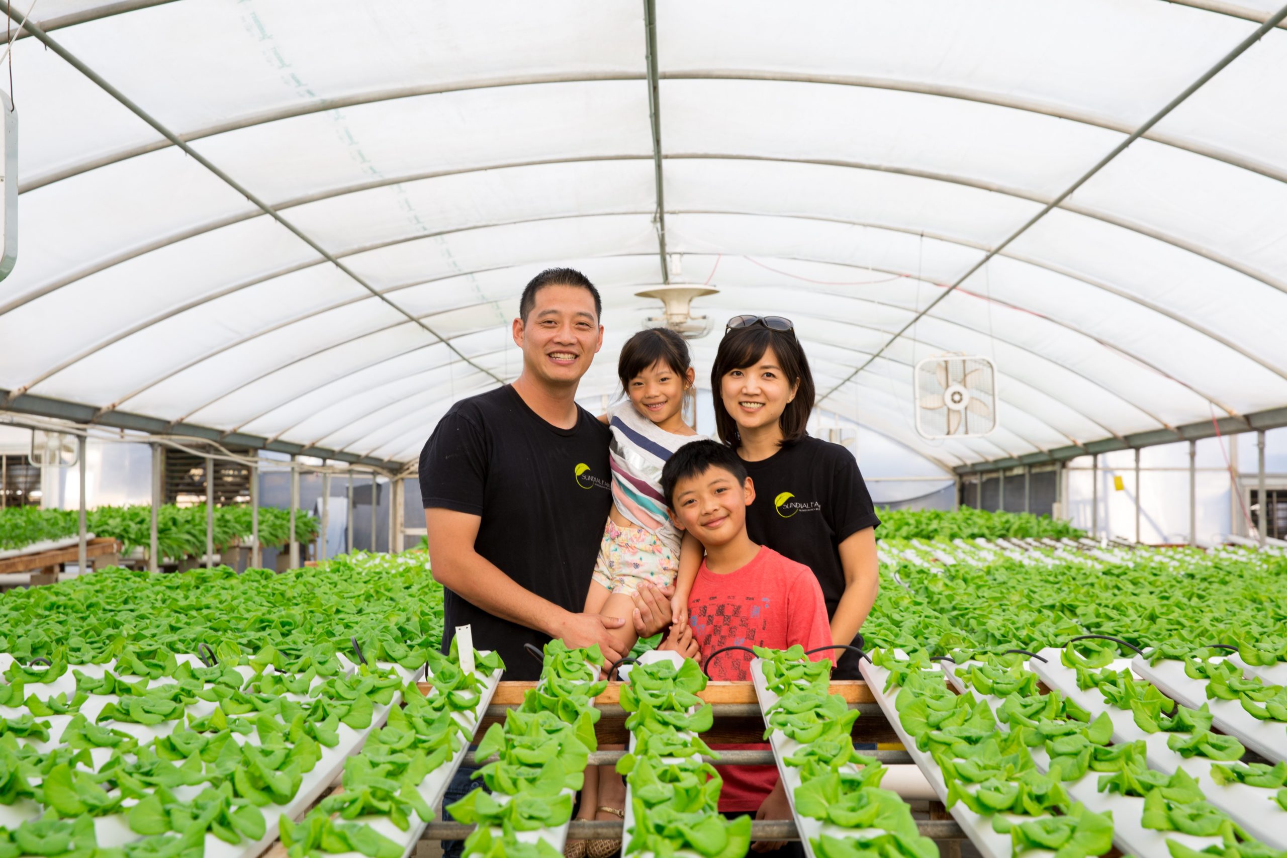 The journey of a Red Stick Farmers Market crop, from greenhouse to