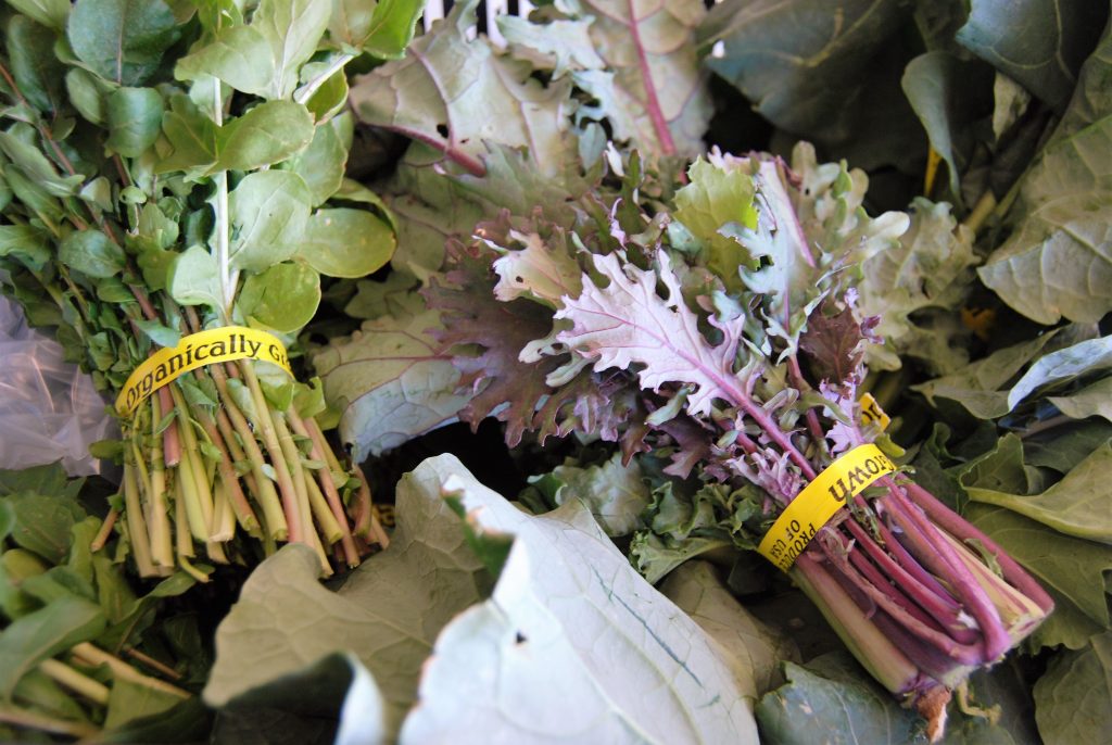 "Craft kale" Sage Mountain Farm - Daily Harvest Express San Diego CSA