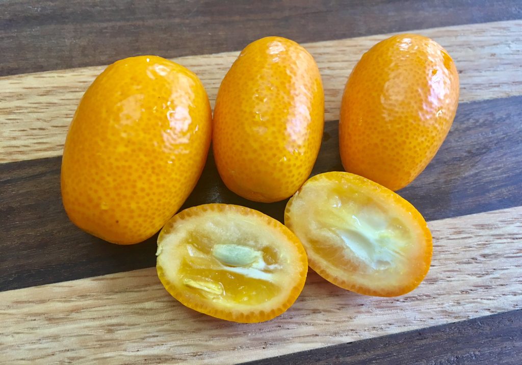 sliced kumquats, how to eat kumquats - daily harvest express - San Diego CSA