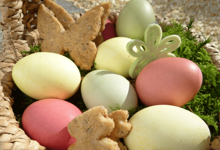 Organic, Pastured Eggs In San Diego - Easter Eggs