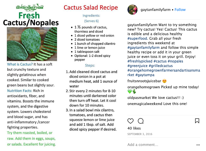 Nopales Cactus salad recipe from Gaytan Family Farm
