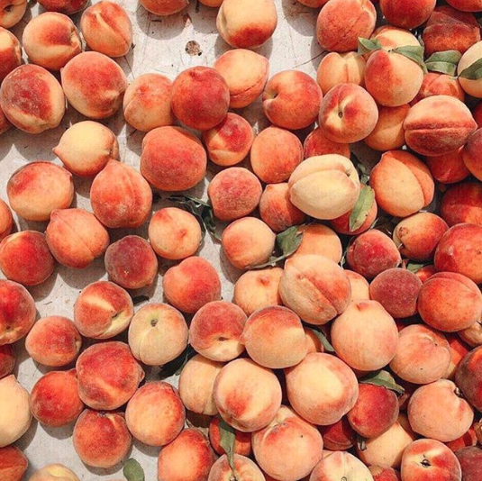 Fresh-picked peaches from Sweet Tree Farms.