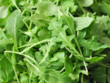 Why and how to eat arugula: tips, recipes, and health benefits of arugula