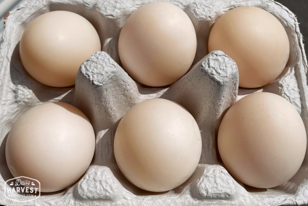 Premium Duck Eggs Local Delivery Local Eggs Food Delivery   Premium Duck Eggs 2 1024x687 