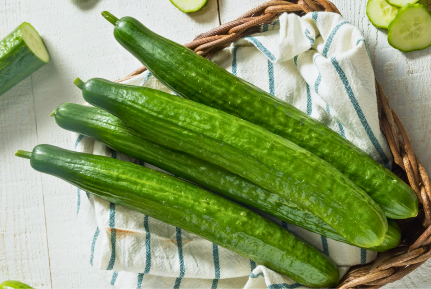 Hot House Cucumbers 1 lb | Farm Boxes | Daily Harvest Express